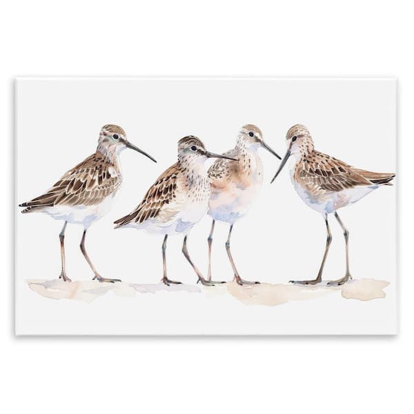 Stupell Industries Sand Pipers Gathered by Petal Prints Design Unframed Animal Graphic Art Print 13 in. x 19 in.