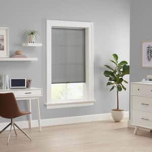 Holden Grey Solid Polyester 27 in. W x 72 in. L Light Filtering Single Cordless Roller Shade