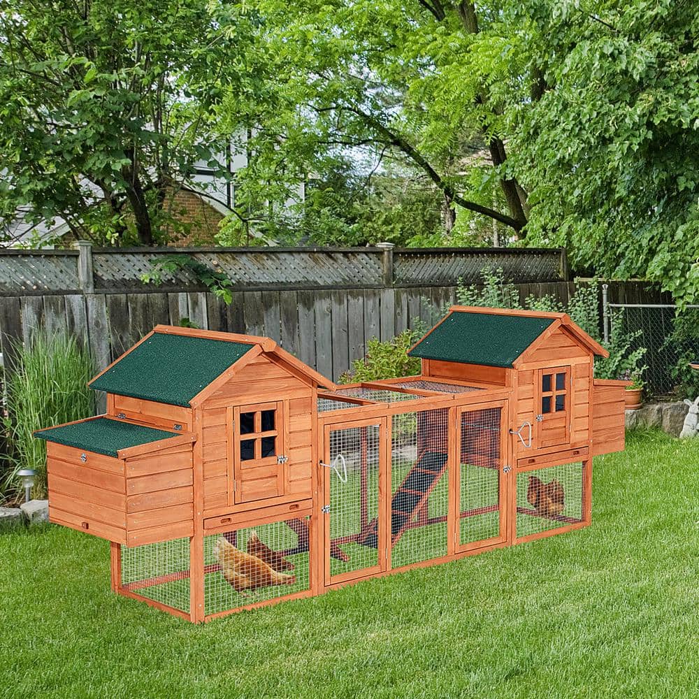 Large Dual Wooden Chicken Coop with Nesting Boxes and Ramps