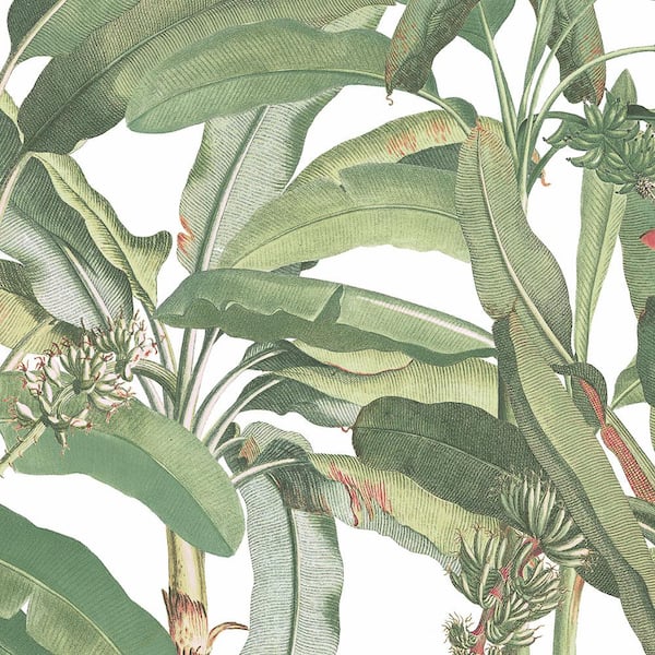 Norwall Polynesian Leaves Vinyl Roll Wallpaper (Covers 56 sq. ft.)