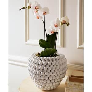 10.25 in. Diameter White Pompom Decorative Ceramic Vase/Planter