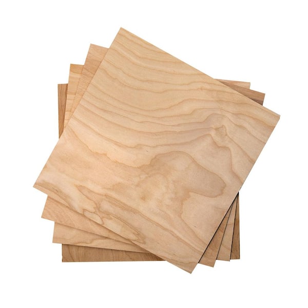 Walnut Hollow 1/2 in. x 1 ft. x 1 ft. Birch Project Panel (4-Pack)