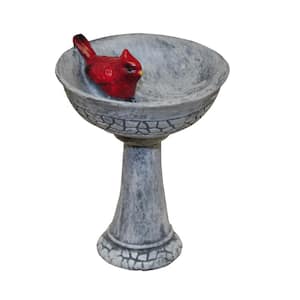 MiniGardenn Fairy Garden Miniature Cardinal Birdbath Pick