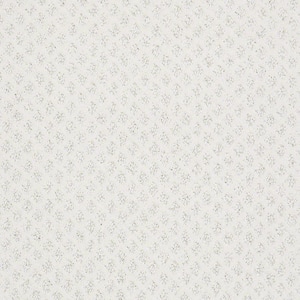 Crown - Snowflake - Beige 42.1 oz. Nylon Pattern Installed Carpet