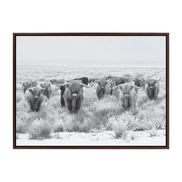 Sylvie Herd of Highland Cows Black and White by The Creative Bunch Studio Framed Art Print 38 in. x 28 in.
