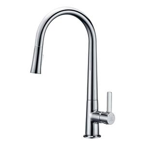 Orbital Single-Handle Pull-Down Sprayer Kitchen Faucet in Polished Chrome