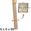 Post Protector 6 in. x 6 in. x 60 in. In-Ground Fence Post Decay ...
