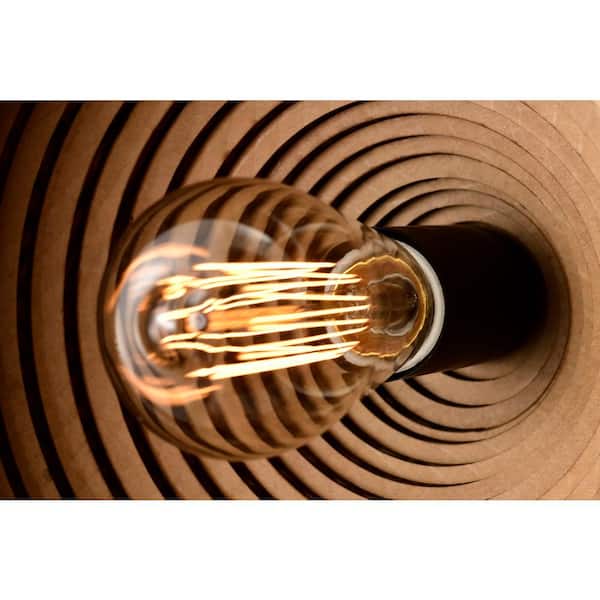 Edvivi 100-Watt 1-Light Matte Black Modern Nordic Style