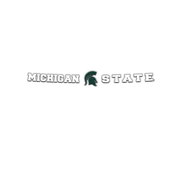 FANMATS Michigan State Spartans Sun Stripe 3.25 in. x 34 in. Windshield Decal