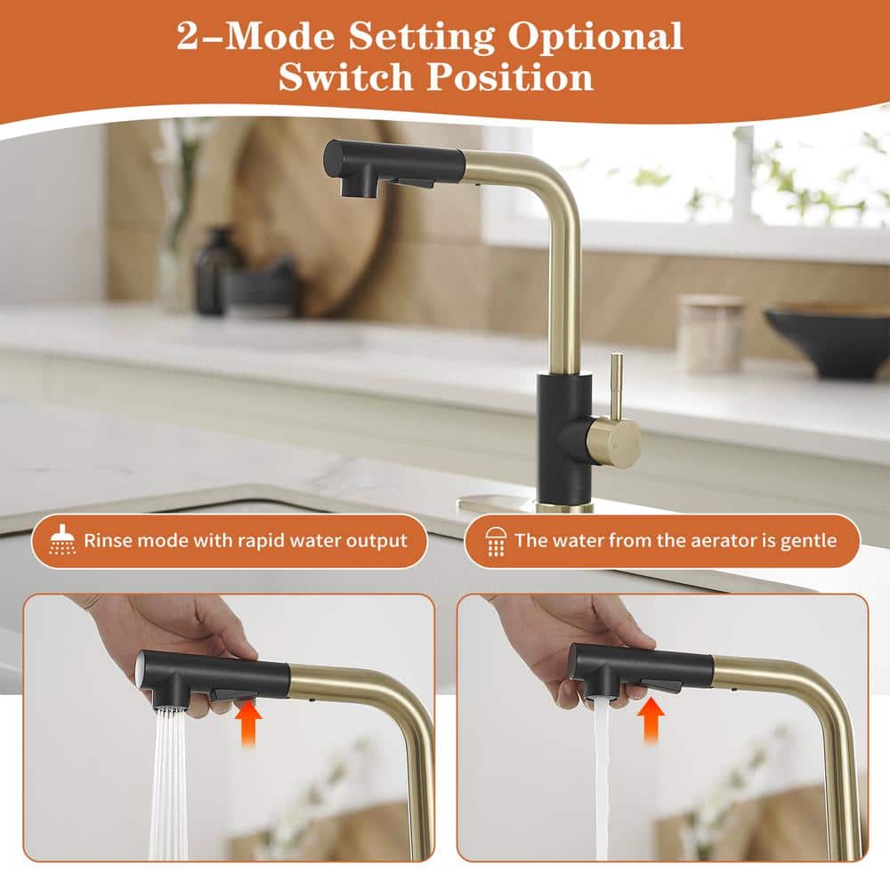 Matte Black and Brushed Gold Stainless Steel Pull-Out Kitchen Faucet