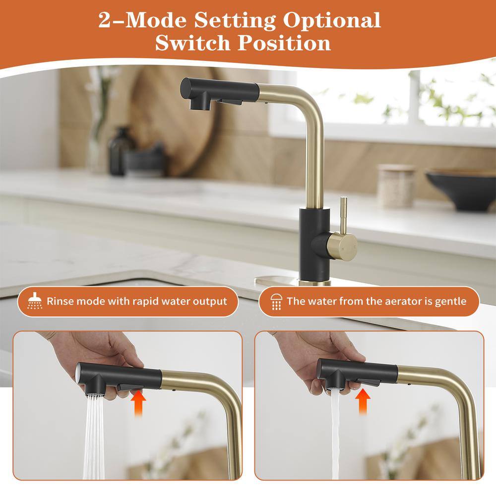 Matte Black and Brushed Gold Stainless Steel Pull-Out Kitchen Faucet