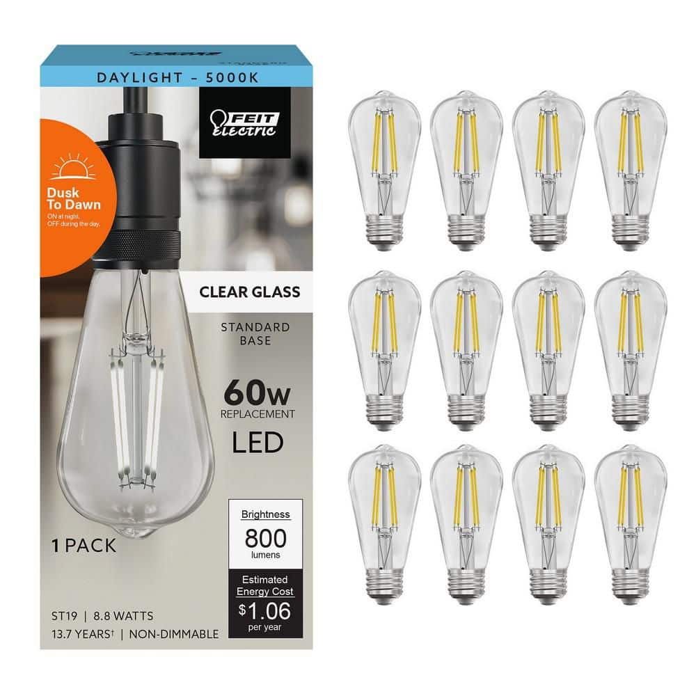 Feit Electric 60-Watt Equivalent ST19 Straight Filament Dusk to