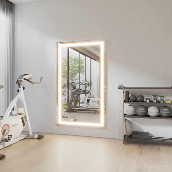 ORGANNICE 36 in. W x 60 in. H Wall-mounted Full-length Mirror LED