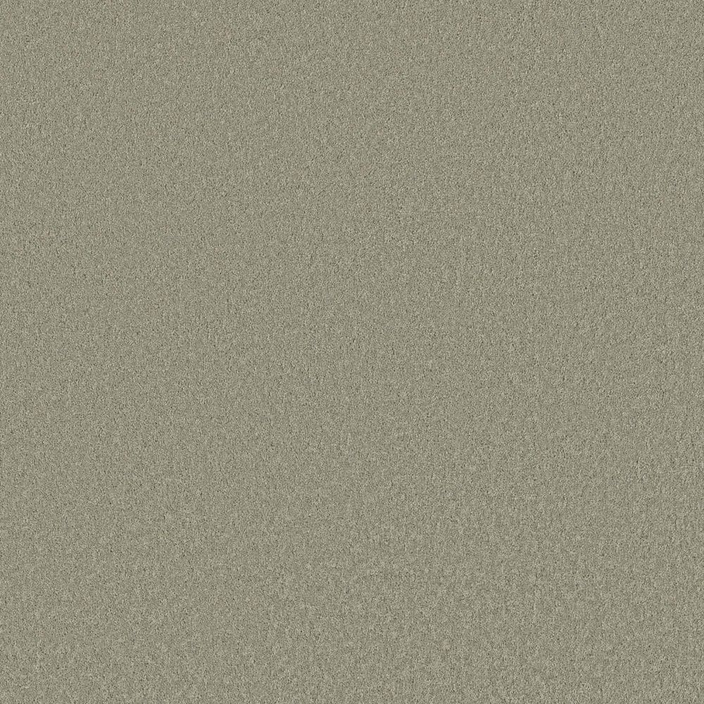 8 in. x 8 in. Texture Carpet Sample - Vignette Velvet II - Color Melon Cup price history on PriceWatchPro
