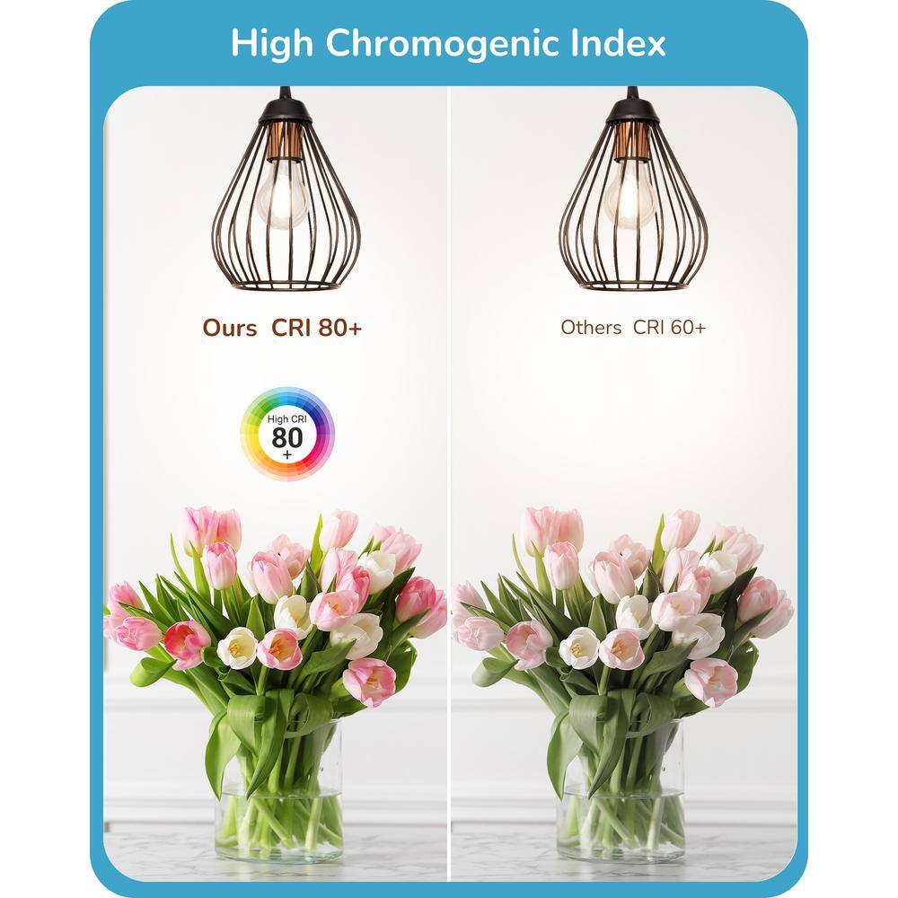 Vintage Edison LED Light Bulbs, Clear Glass, Cool White, 6-Pack