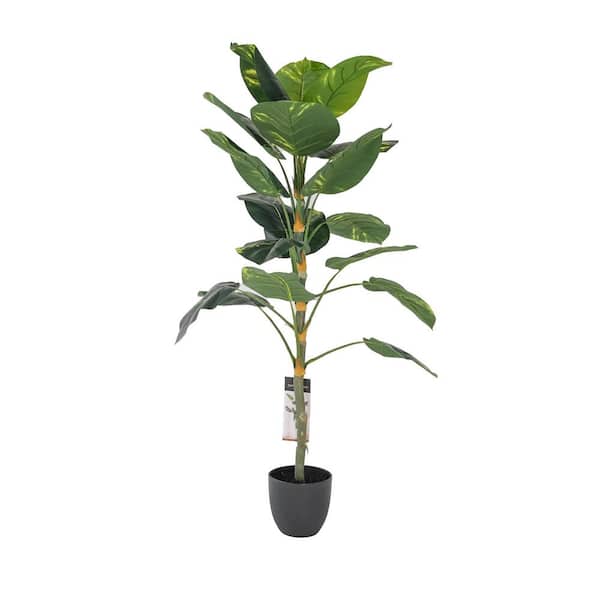 Unbranded Botanika, 51 .18 in. Green Artificial Dieffenbachia Bonsai in Black Pot