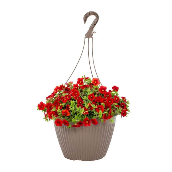 Vigoro 1.75 Gal. Calibrachoa Million Bells Cabaret Bright Red in Decorative Hanging Basket Annual Plant (1-Pack)