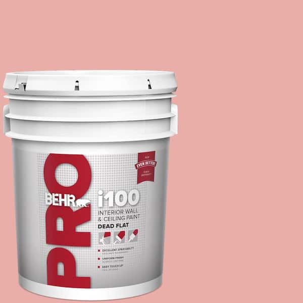 5 gal. #M160-3 Sweet Tart Dead Flat Interior Paint