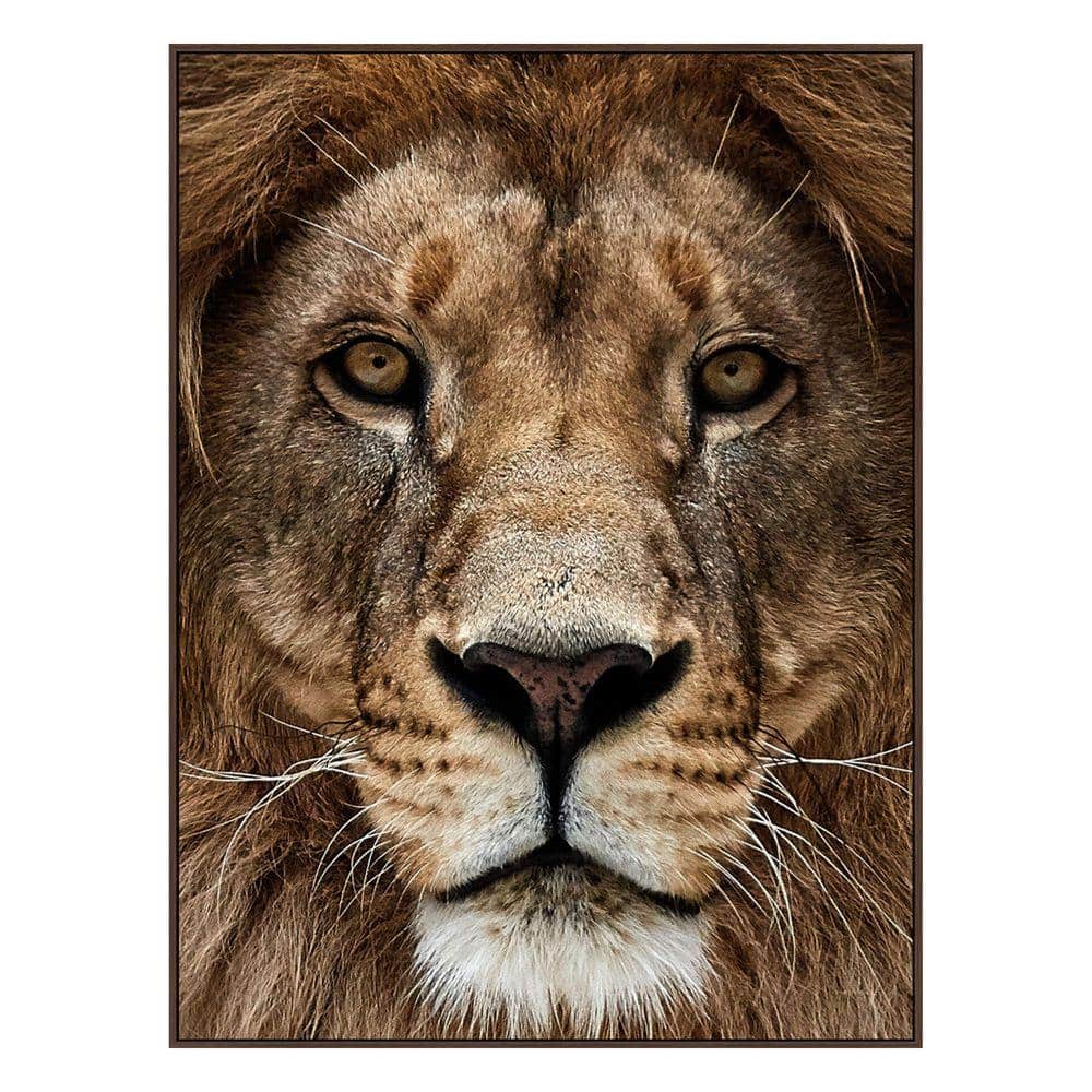 Classy Art 1 Piece Framed Graphic Print Animal Art Print 48 in. x