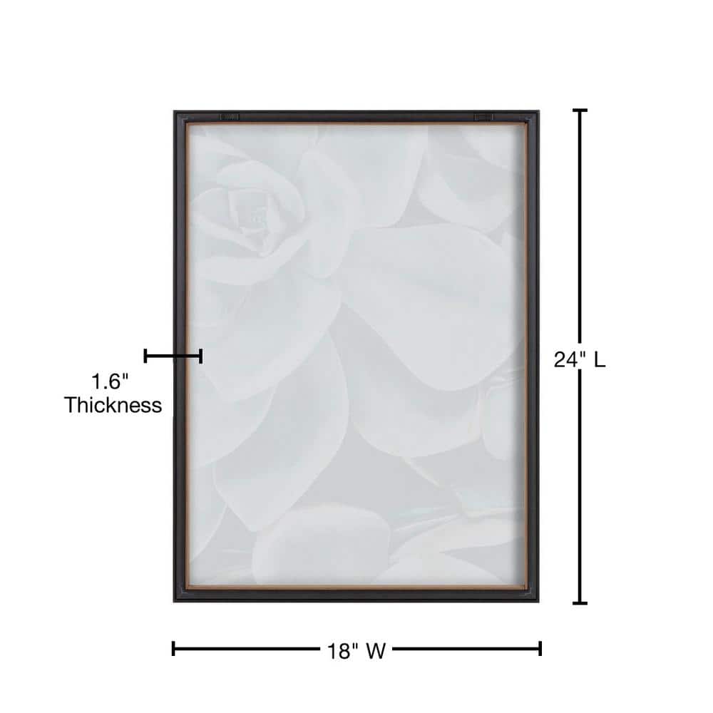 Gray Framed Botanical Succulent Plant Wall Art Set