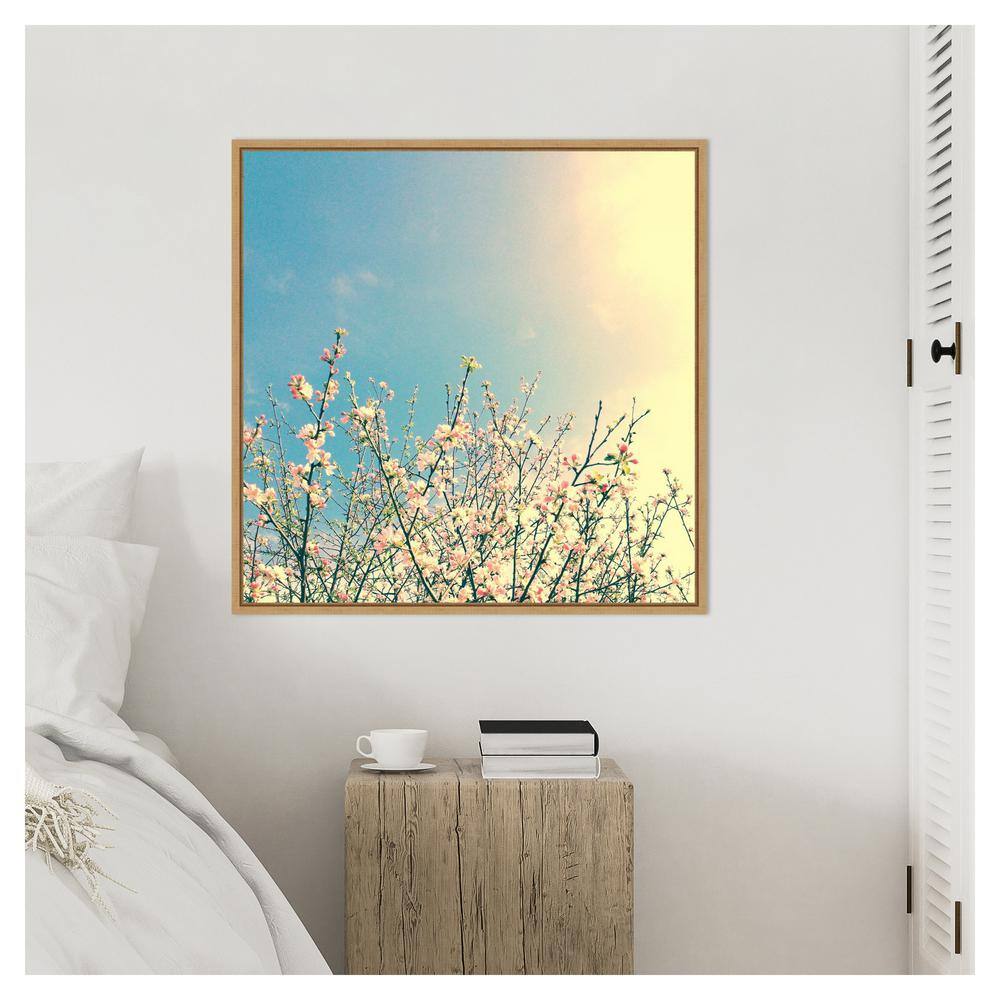 Springing Pink I Contemporary Canvas Print with Maple Floater Frame