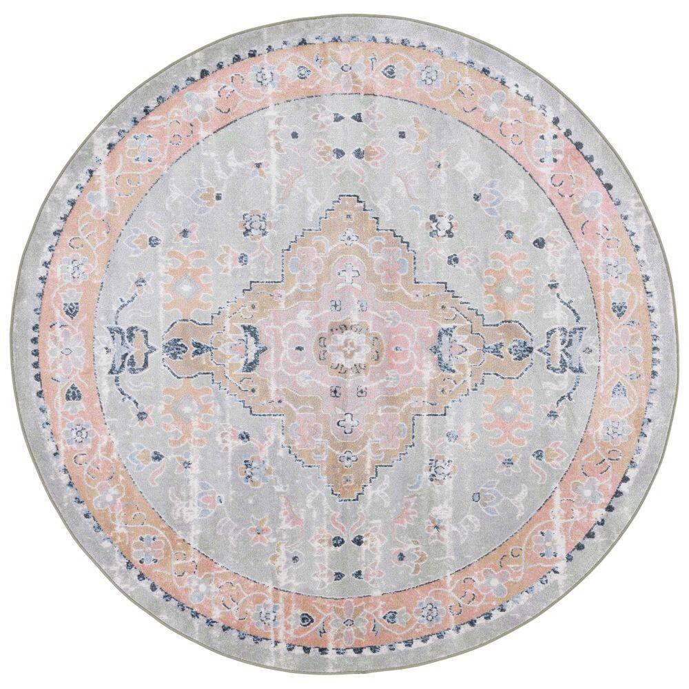 Bayside Sage/Gold 7 ft. x 7 ft. Machine Washable Border Medallion Round Area Rug price history on PriceWatchPro
