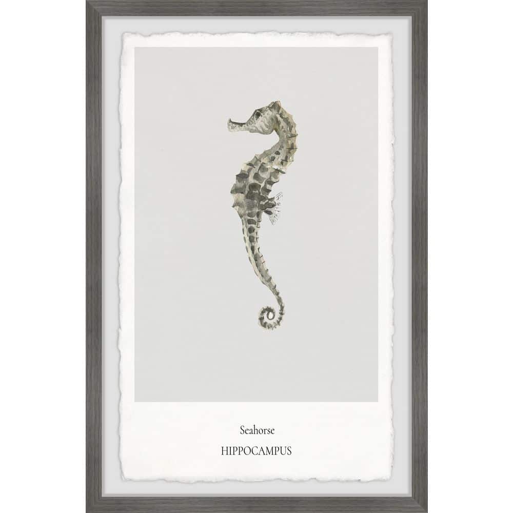 The Hippocampus by Marmont Hill Framed Animal Art Print 36 in. x 24 in.