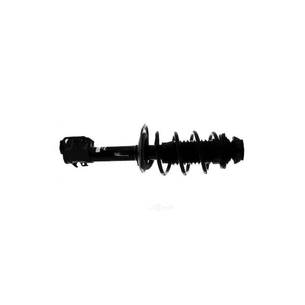 Suspension Strut and Coil Spring Assembly