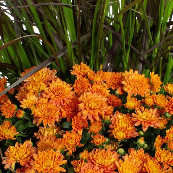 Red, Green, Orange Garden Flowers in Round Glass Bowl