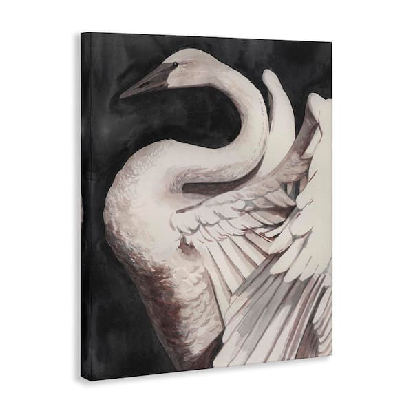 Stupell Industries Swan Spreading Wings by Grace Popp Unframed