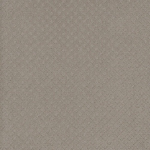 TrafficMaster 8 in. x  8 in. Loop Carpet Sample - Camelia Lane -Color Mollie