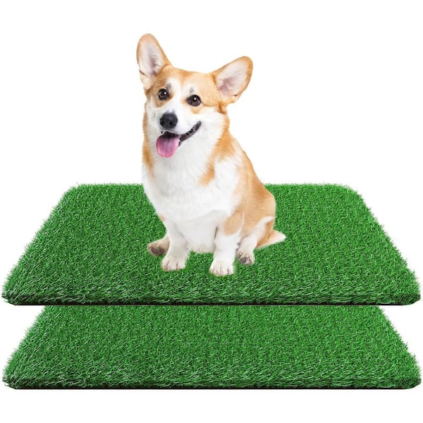 Afoxsos 18 x 28 in. Fake Grass Turf for Dogs, Artificial Grass Pee Pad for Puppy Potty Training Drainage Hole, (2-Pack)