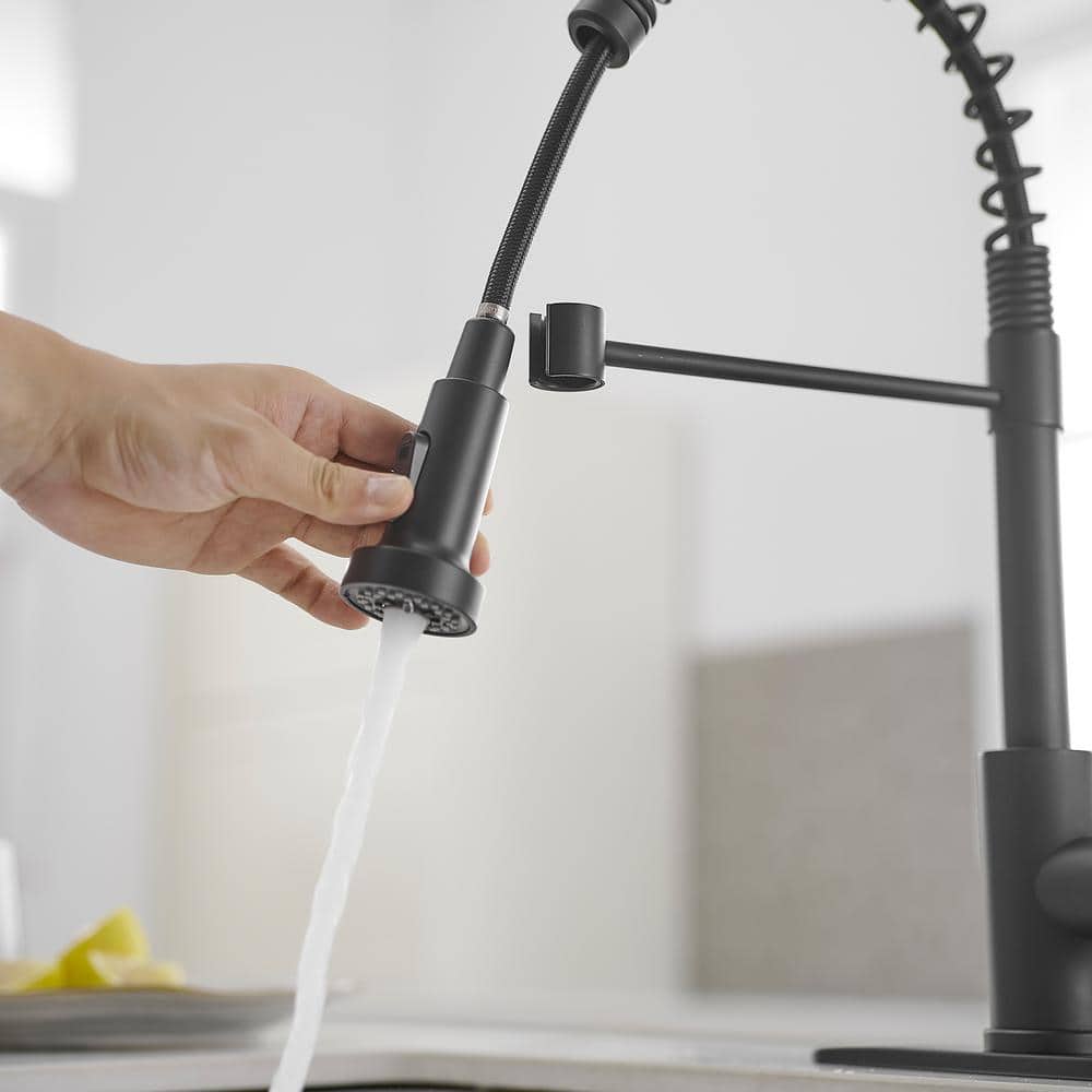 Matte Black Single-Handle Pull-Down Sprayer Kitchen Faucet