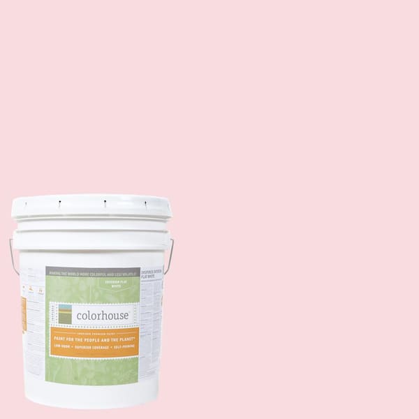 Colorhouse 5 gal. Sprout .06 Flat Interior Paint