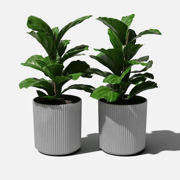 Demi 20 in. Round Grey Plastic Planter (2 Pack)