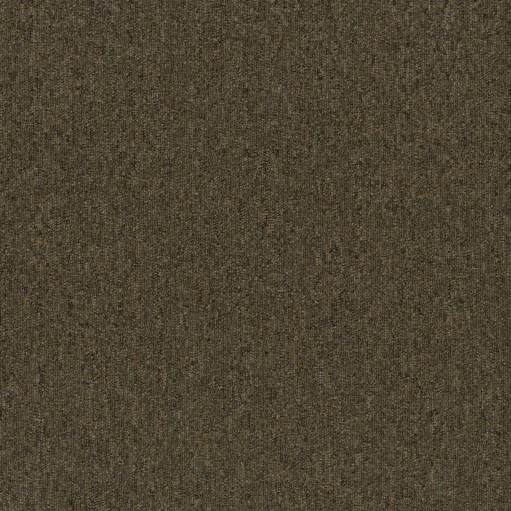 8 in. x 8 in. Loop Carpet Sample - Form Focus 20 - Color Cocoa price history on PriceWatchPro