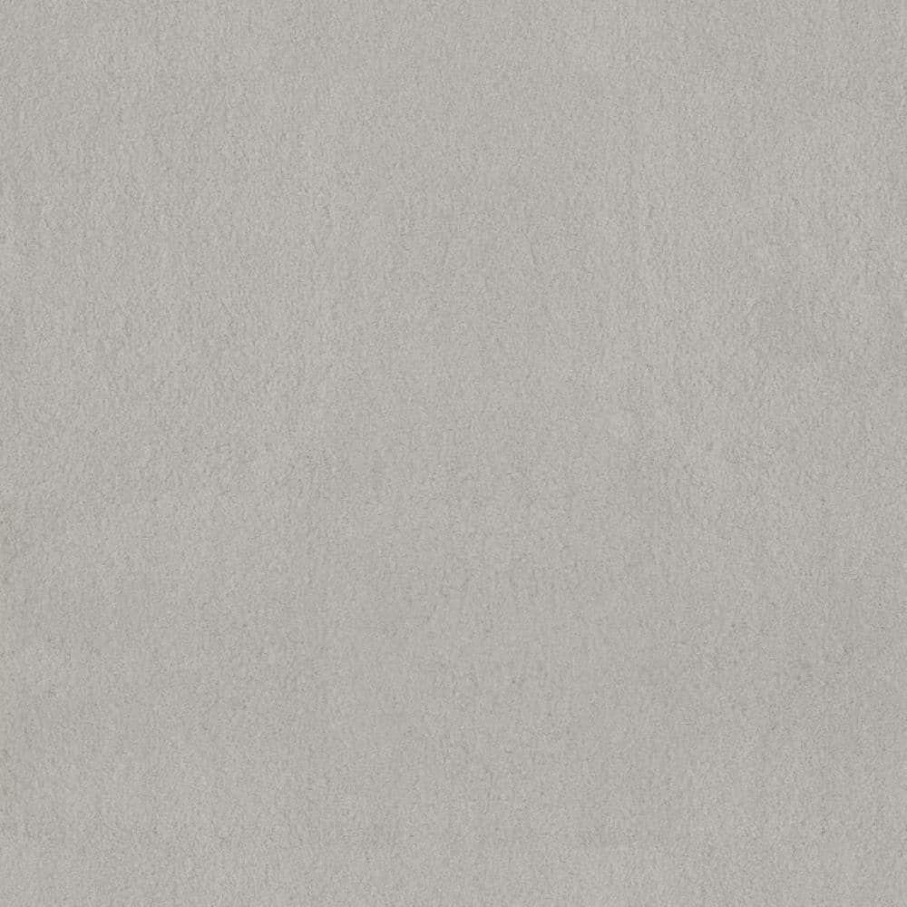 8 in. x 8 in. Texture Carpet Sample-Dreamy Daze I-Color Willow Mist price history on PriceWatchPro