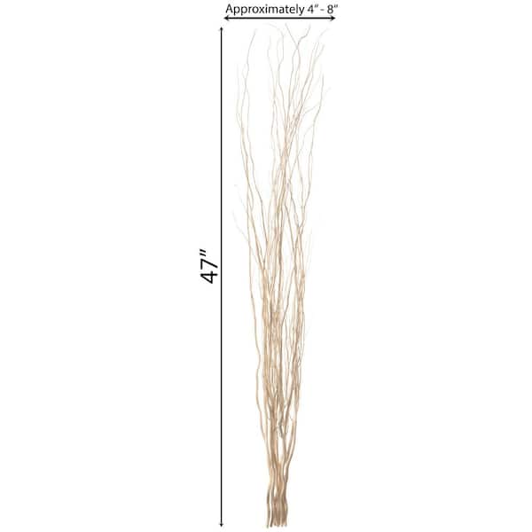 Dried Curly Willow Branches, 23 inch Natural Dried Branch Twigs Decorative Wood Sticks with Mini Gourds for DIY Crafts, Vases Wedding Home Décor
