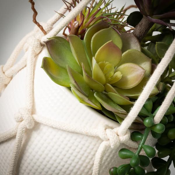 20 .5 in. Donkey Tail String of Pearls Artificial Succulent Hanging Air Plant