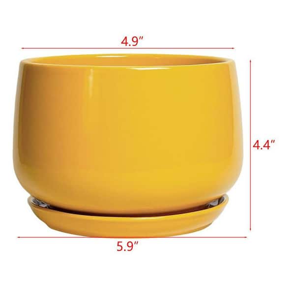 Samll Yellow Ceramic Indoor/Outdoor Planter with Saucer (5.9 in. W