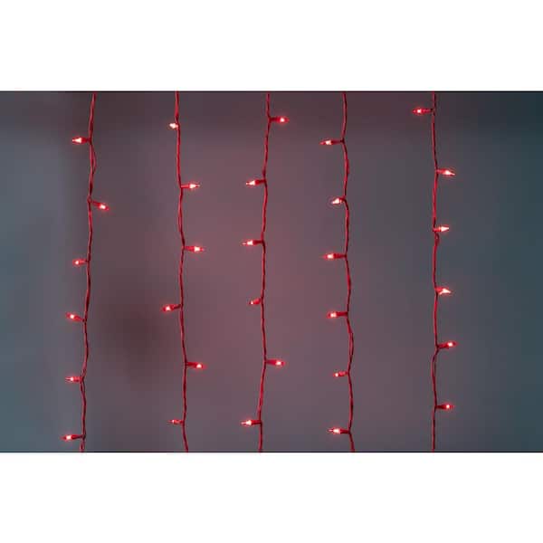 Brite Star 50-Light Designer Series Red Mini Lights, Red Wire 96