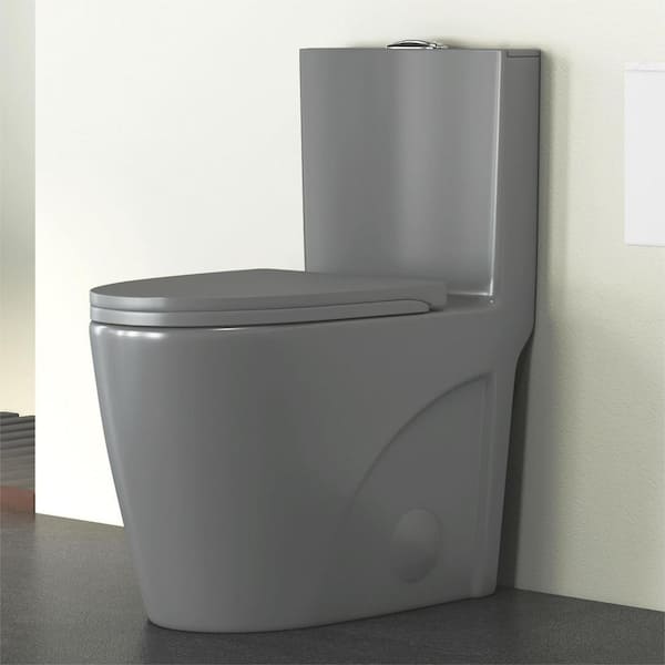 Eridanus Reno 1-Piece 1.1/1.6 GPF Siphon Dual Flush Elongated ADA Chair Height Toilet in Glacier Gray, Seat Included