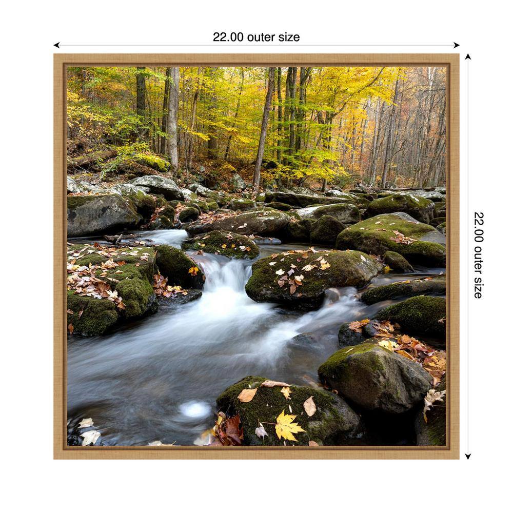 Autumn Rush Scenic Landscape Canvas Print with Maple Frame