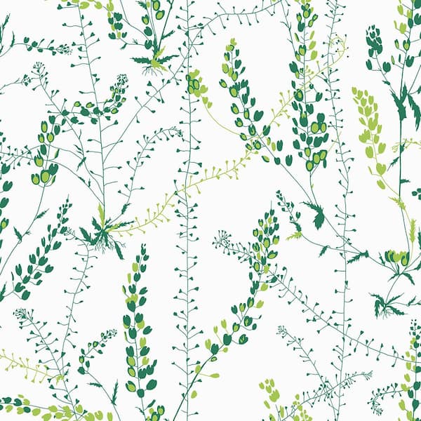 Brewster Bladranker Green Botanical Paper Strippable Roll Wallpaper (Covers 57.8 sq. ft.)
