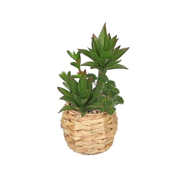 Unbranded 11 in. Large Green Indoor Succulent Artificial Plant in Wooden  Pot HDD3TDHSJM
