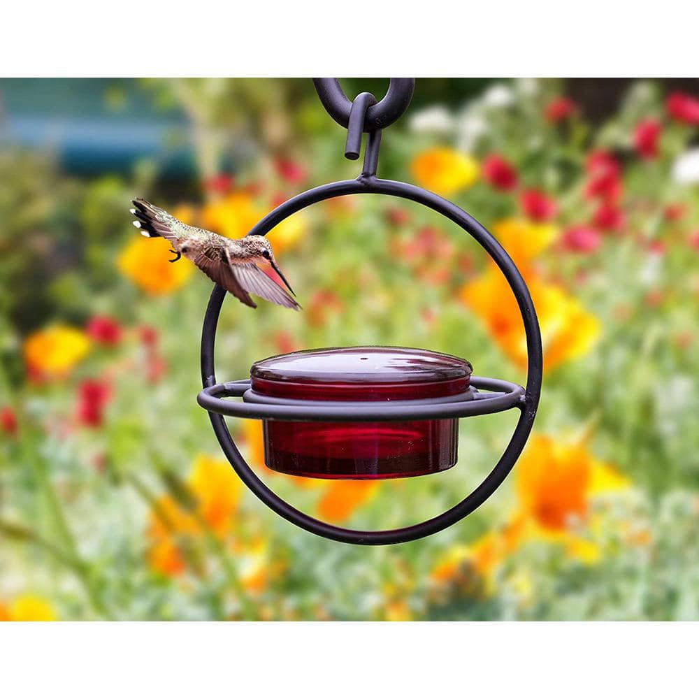 Circular Red Glass and Black Metal Hanging Hummingbird Feeder