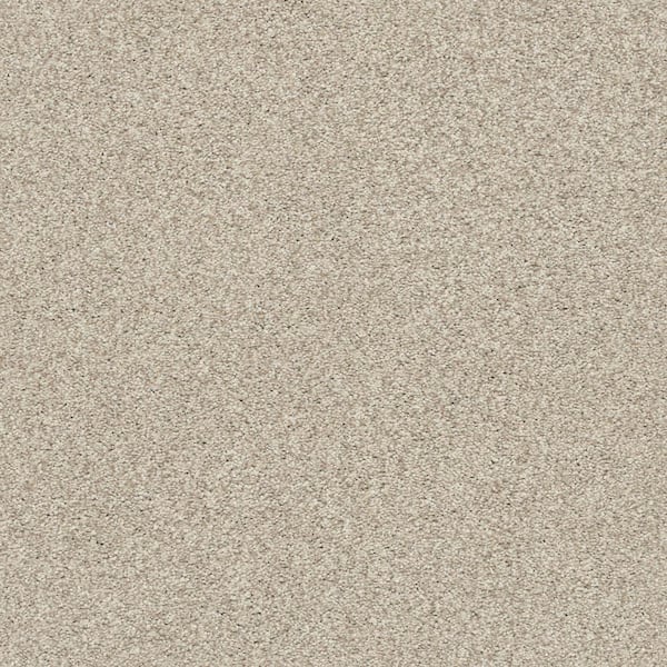 Karma I - Sheer Natural - Brown 41.2 oz. Nylon Texture Installed Carpet