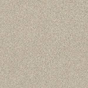 Karma II - Sheer Natural - Brown 50.5 oz. Nylon Texture Installed Carpet