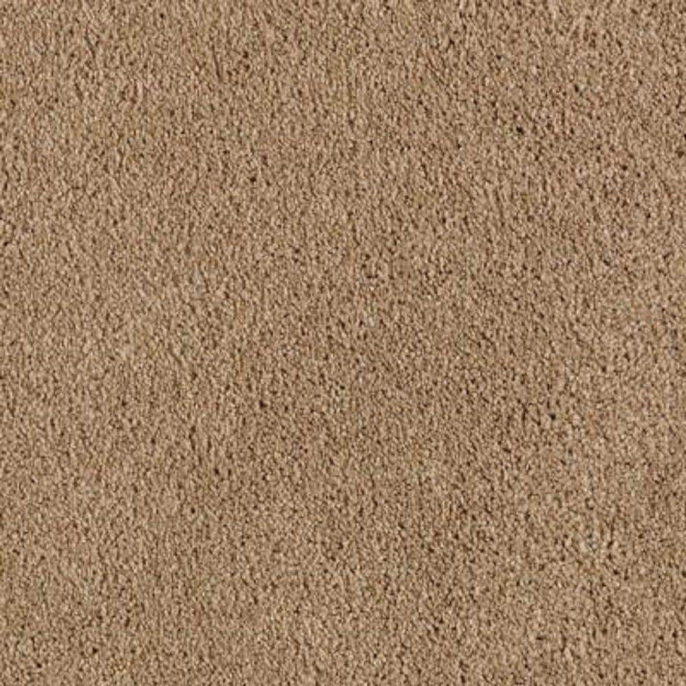 8 in. x 8 in. Texture Carpet Sample - Ambrosina II -Color Golden Brown price history on PriceWatchPro