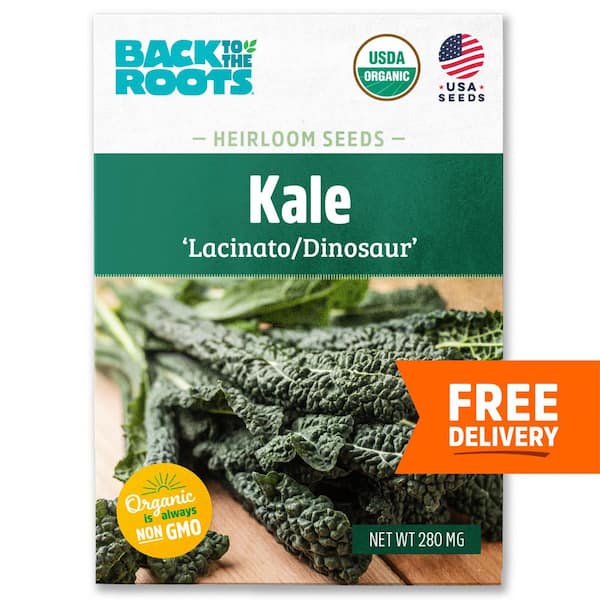 Organic Lacinato Kale Seed (1-Pack)